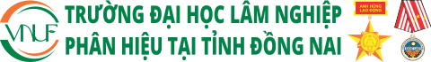 Thư Viện VNUF2