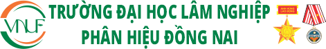 Thư Viện VNUF2